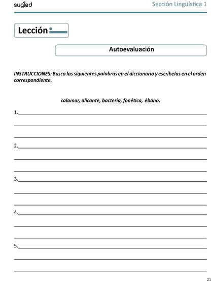 Gramática y Ortografía Nivel 2 (.PDF)
